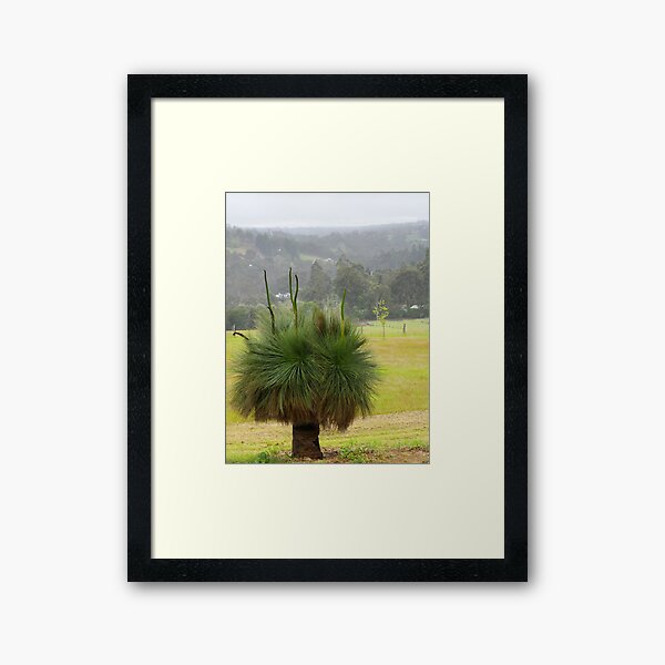 Item preview, Grasstree in the mist designed and sold by BigAndRed.