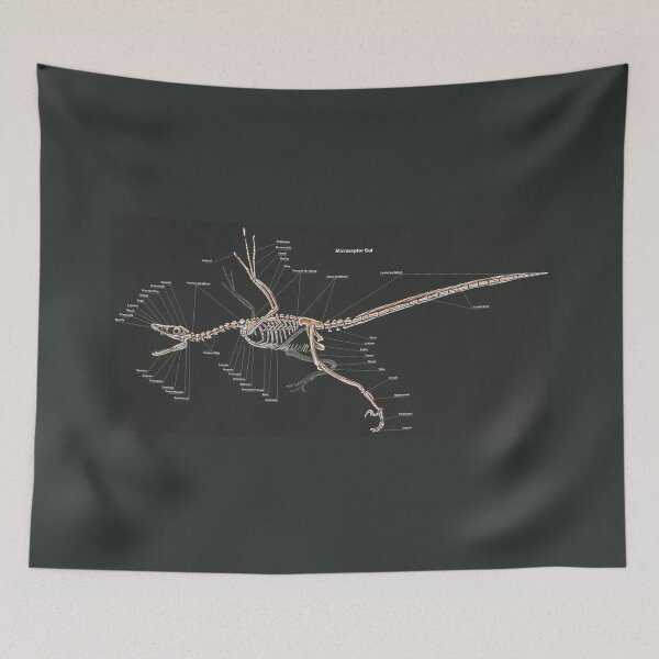 Item preview, Microraptor Gui Skeletal Study  designed and sold by Thedragonofdoom.