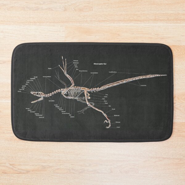 Item preview, Microraptor Gui Skeletal Study  designed and sold by Thedragonofdoom.