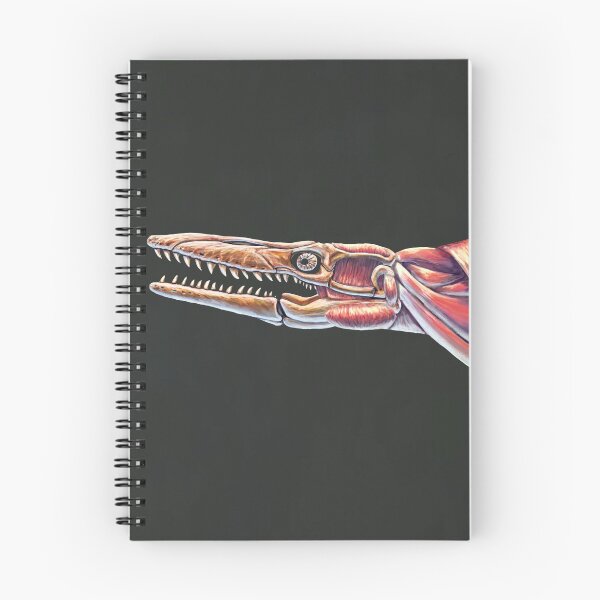 Item preview, Tylosaurus Pembinensis Muscle Study (No Labels) designed and sold by Thedragonofdoom.