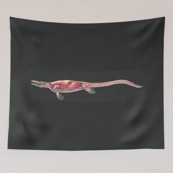 Item preview, Tylosaurus Pembinensis Muscle Study (No Labels) designed and sold by Thedragonofdoom.