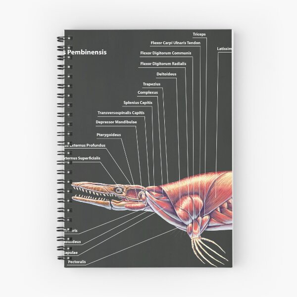Item preview, Tylosaurus Pembinensis Muscle Study designed and sold by Thedragonofdoom.