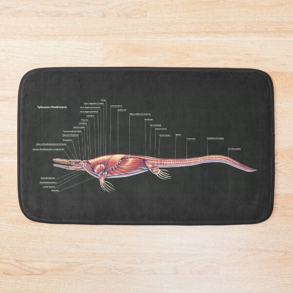 Item preview, Tylosaurus Pembinensis Muscle Study designed and sold by Thedragonofdoom.