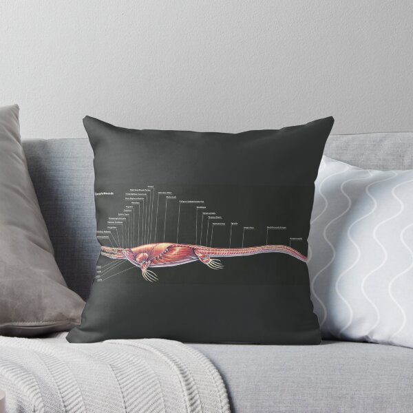 Item preview, Tylosaurus Pembinensis Muscle Study designed and sold by Thedragonofdoom.
