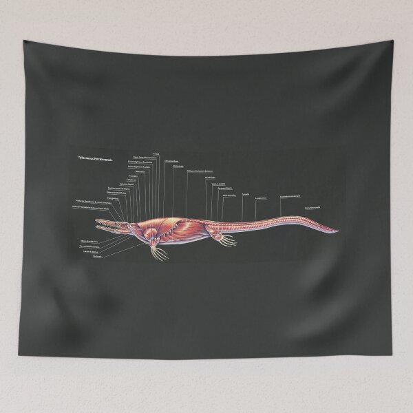 Item preview, Tylosaurus Pembinensis Muscle Study designed and sold by Thedragonofdoom.