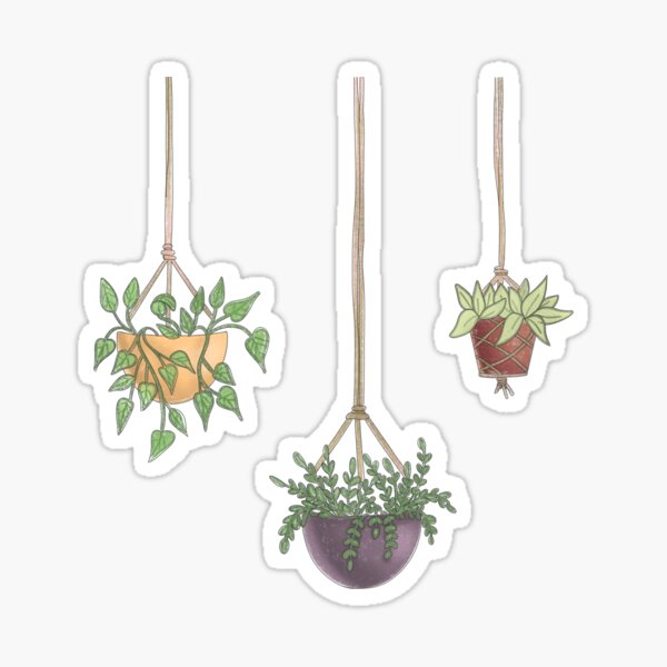 Hanging Plant Stickers Succulent Sticker Graphic by Paper Artsthetics ·  Creative Fabrica