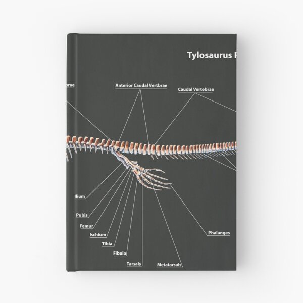 Item preview, Tylosaurus Pembinensis Skeletal Study designed and sold by Thedragonofdoom.