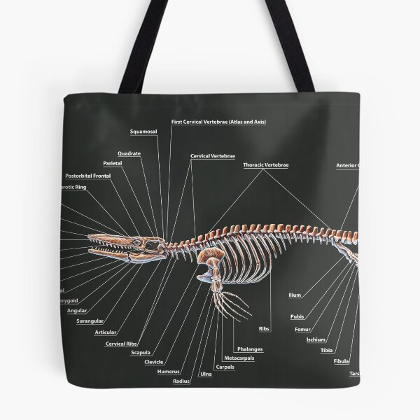 Item preview, Tylosaurus Pembinensis Skeletal Study designed and sold by Thedragonofdoom.