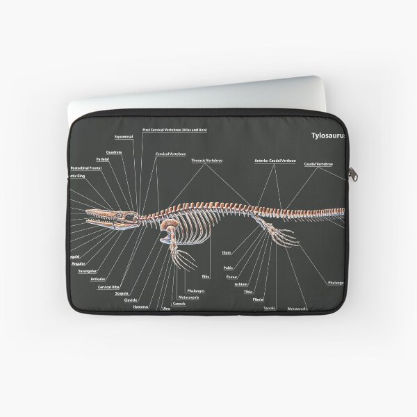 Item preview, Tylosaurus Pembinensis Skeletal Study designed and sold by Thedragonofdoom.