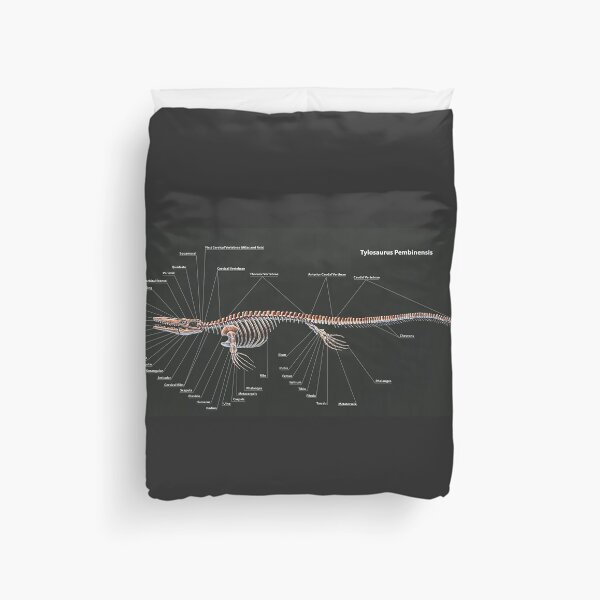 Item preview, Tylosaurus Pembinensis Skeletal Study designed and sold by Thedragonofdoom.