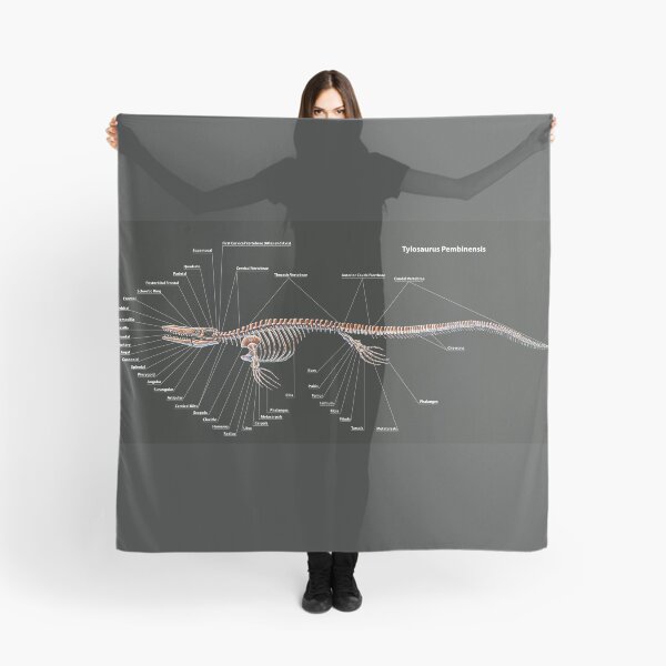 Item preview, Tylosaurus Pembinensis Skeletal Study designed and sold by Thedragonofdoom.