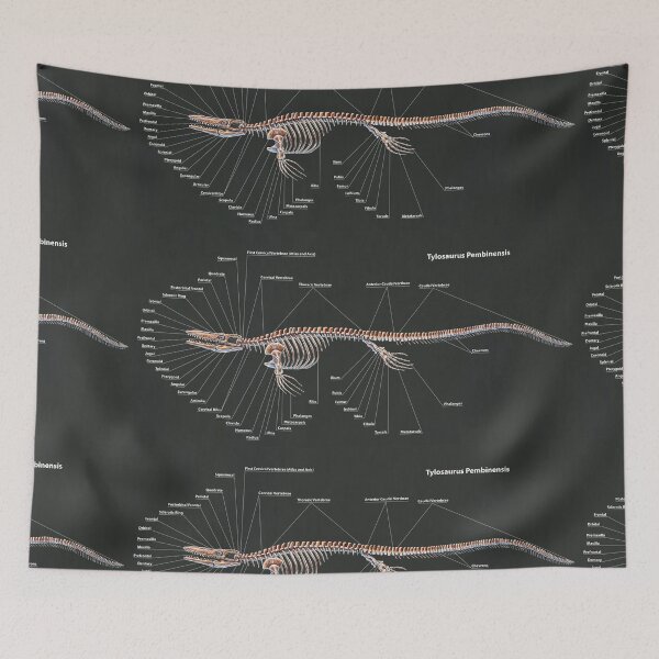 Item preview, Tylosaurus Pembinensis Skeletal Study designed and sold by Thedragonofdoom.