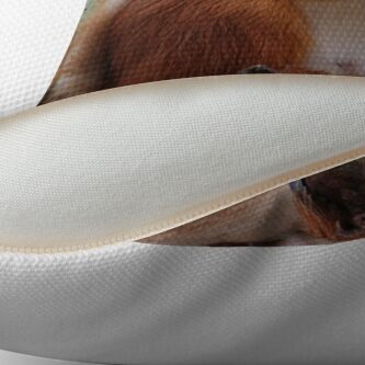 Alternate view of Red squirrel Throw Pillow