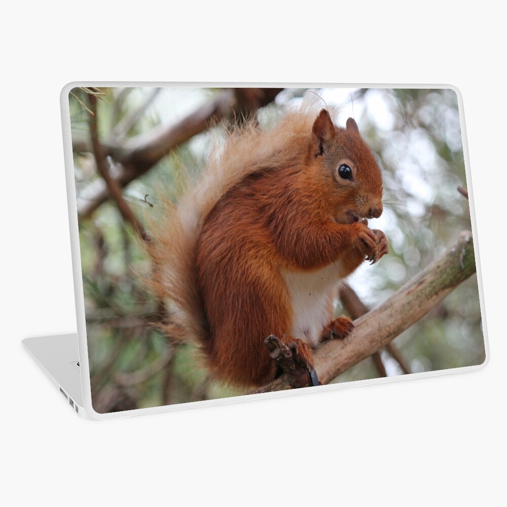 Item preview, Laptop Skin designed and sold by orcadia.