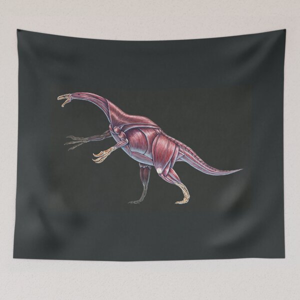 Item preview, Nothronychus Graffami Muscle Study (No Labels) designed and sold by Thedragonofdoom.