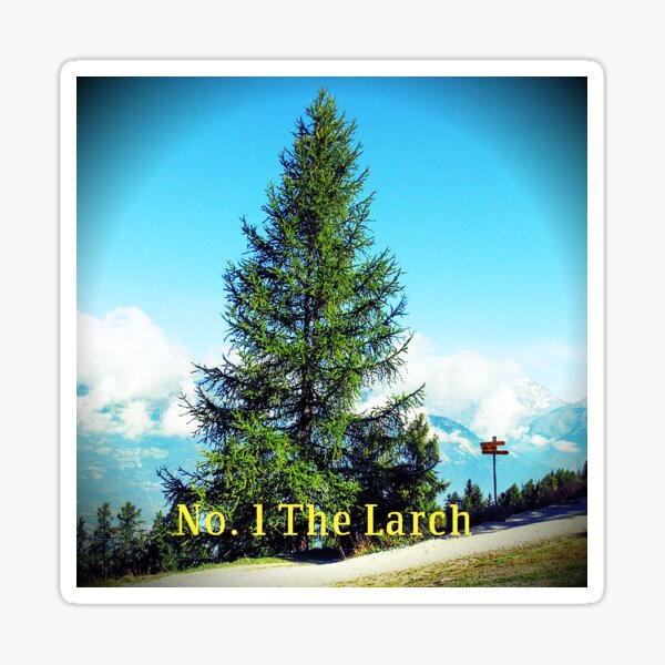 Item preview, The Larch designed and sold by WHemporium.