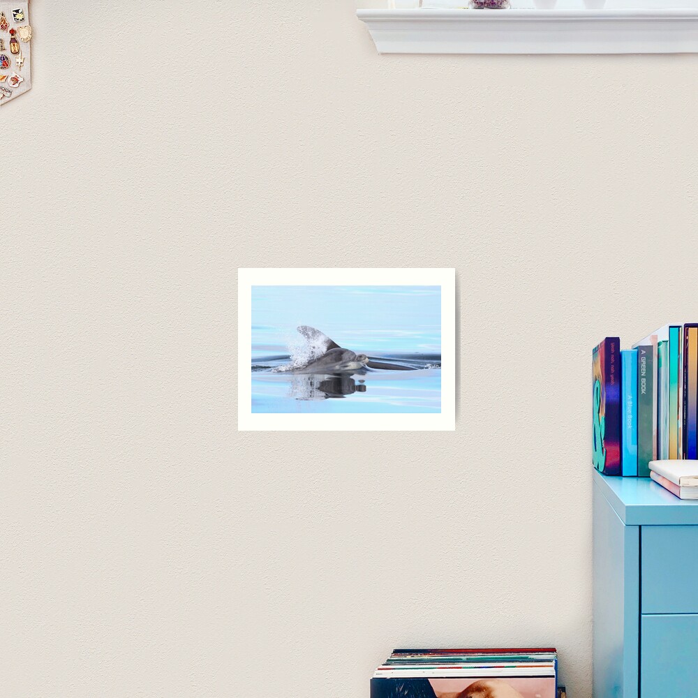 Dolphin calf Art Print