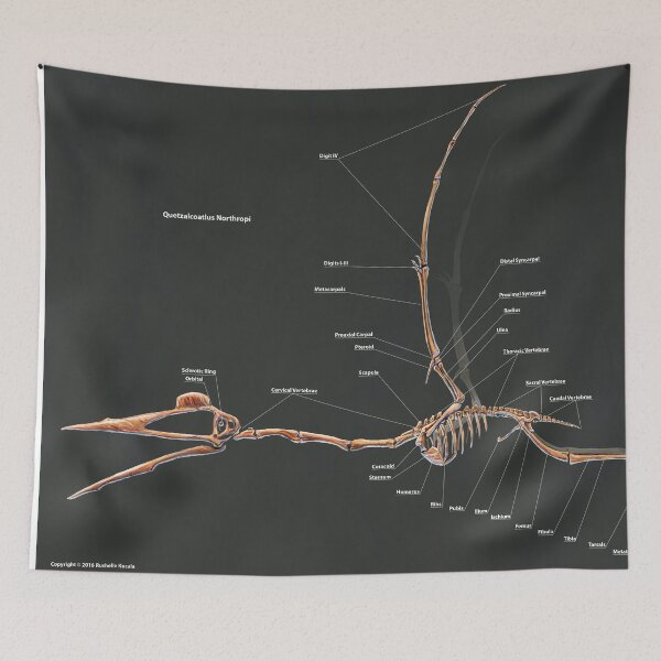 Item preview, Quetzalcoatlus Northropi Skeletal Study designed and sold by Thedragonofdoom.