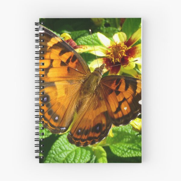 Item preview, American Painted Lady Butterfly designed and sold by WildestArt.