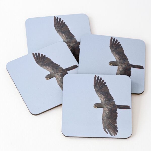 Item preview, Red tailed black cockatoo in flight  designed and sold by MargsNaturePix.