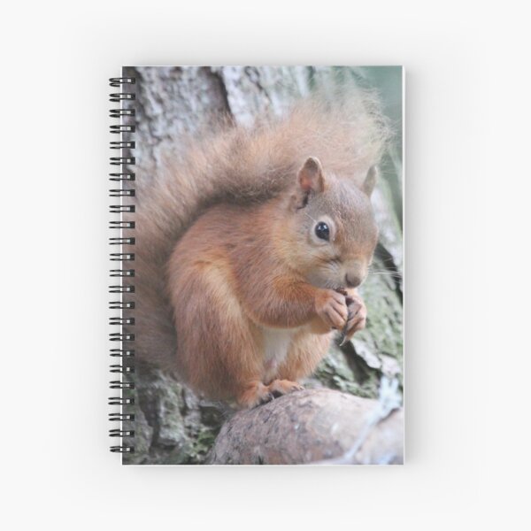 Red squirrel Spiral Notebook