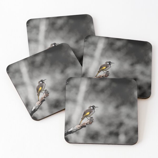 Artikelvorschau, New Holland Honeyeater_VOA4033A entworfen und verkauft von SEADOGPRINTS.