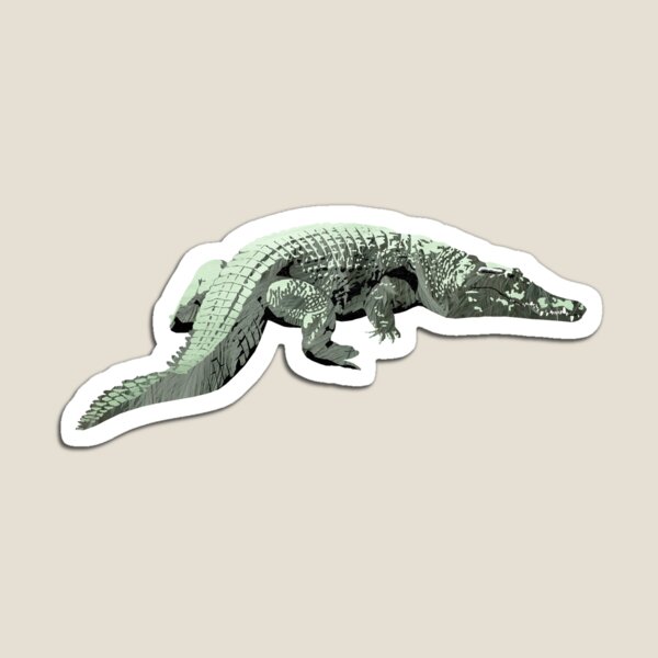 Crocodile - Laudea Martin Magnet