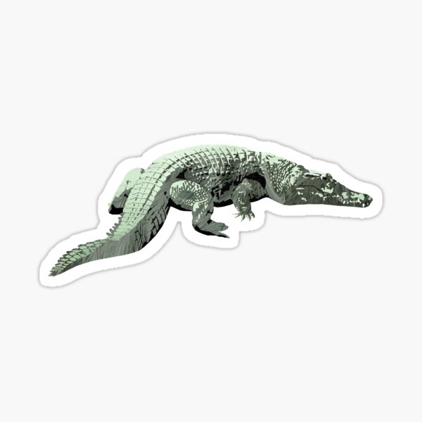 Crocodile - Laudea Martin Sticker
