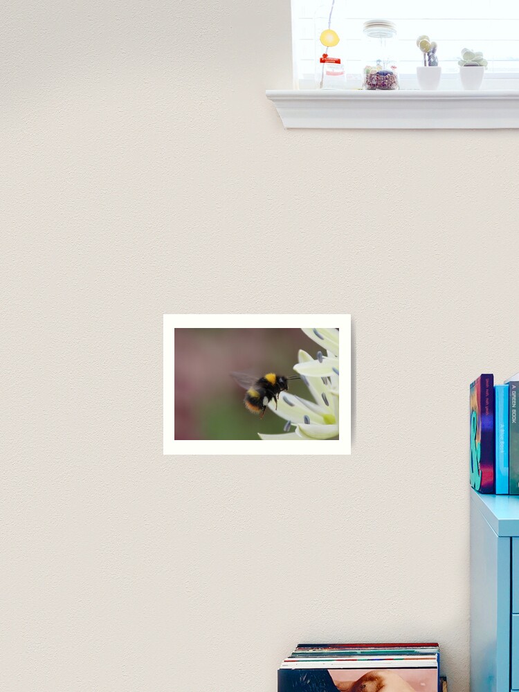 Thumbnail 2 of 3, Art Print, Bee in flight designed and sold by orcadia.