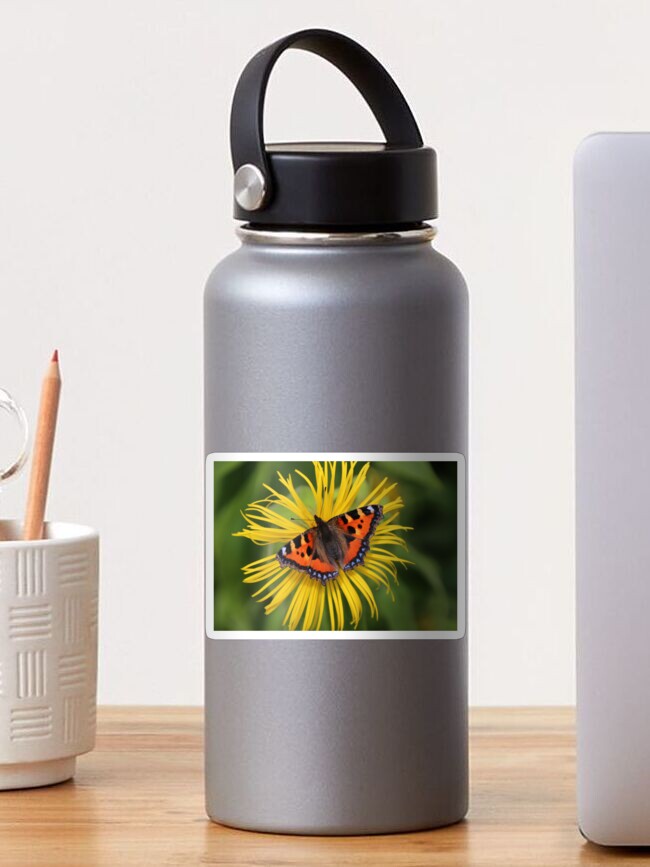 Thumbnail 1 of 3, Sticker, Small tortoiseshell designed and sold by orcadia.