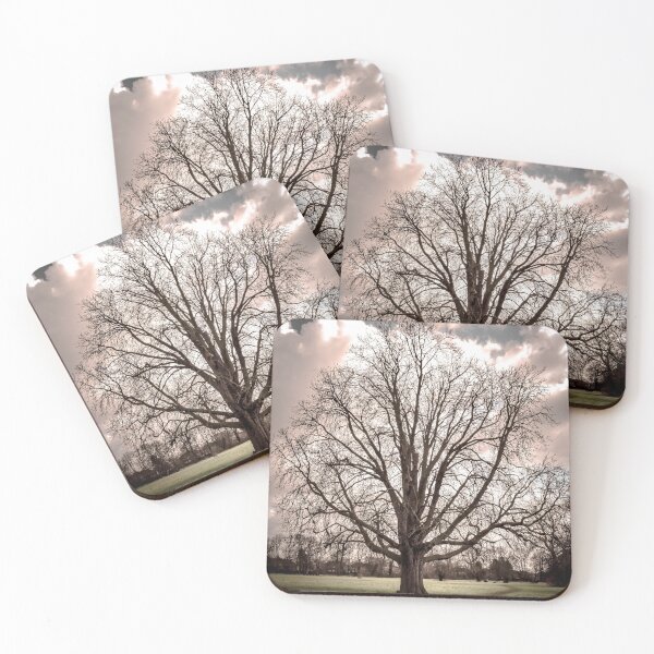 Item preview, Another, yet wiser, tree designed and sold by Olympia Ellinas.