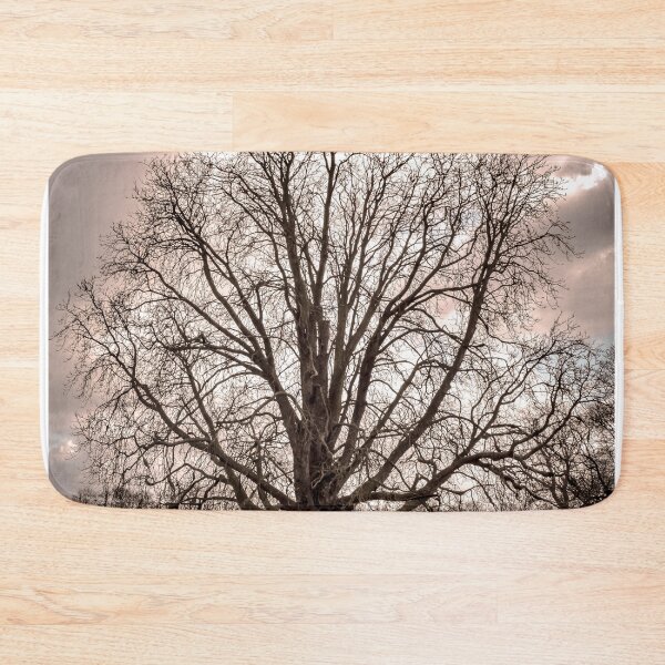 Item preview, Another, yet wiser, tree designed and sold by Olympia Ellinas.
