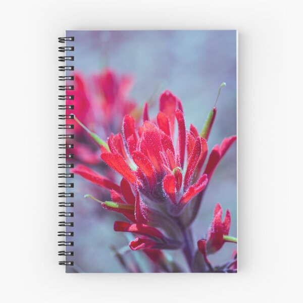 Item preview, Indian Paintbrush Groovy designed and sold by KevinTylerMuncy.