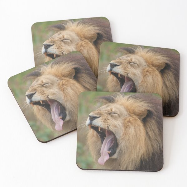 Item preview, Wide Yawning African Lion with Tongue designed and sold by Steven Holt.