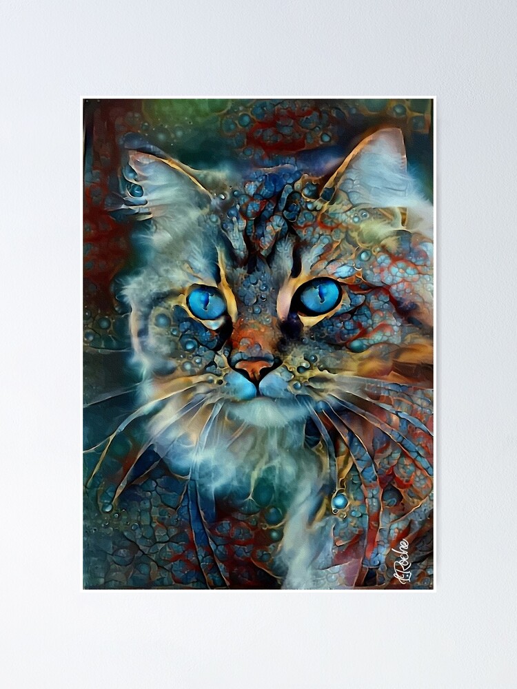 Poster Tabata Velvet Cat Chat Gato Kitten Cat Face Tete Chat Domestic Animal Lea Roche De Salomitata Redbubble