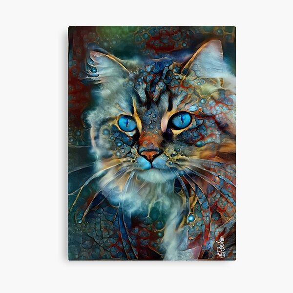 Tabata Velvet - chat, chat, chat, chaton, visage de chat, tete chat, animal domestique, lea roche Impression sur toile