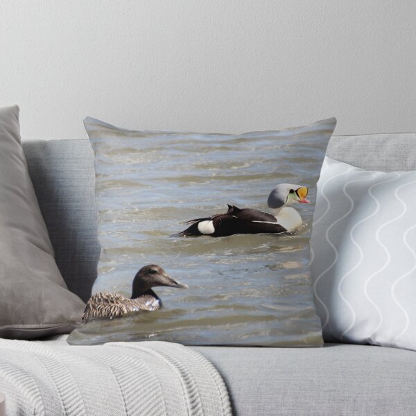 Item preview, Eiders designed and sold by Fiona MacNab.