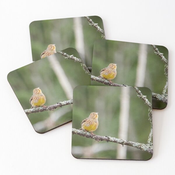 Item preview, Anyone up there. Yellowhammer designed and sold by Jouko Lehto Photography.