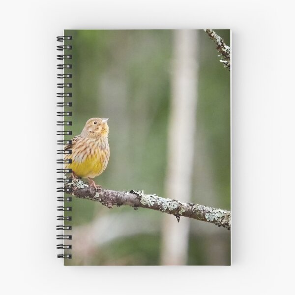 Item preview, Anyone up there. Yellowhammer designed and sold by Jouko Lehto Photography.