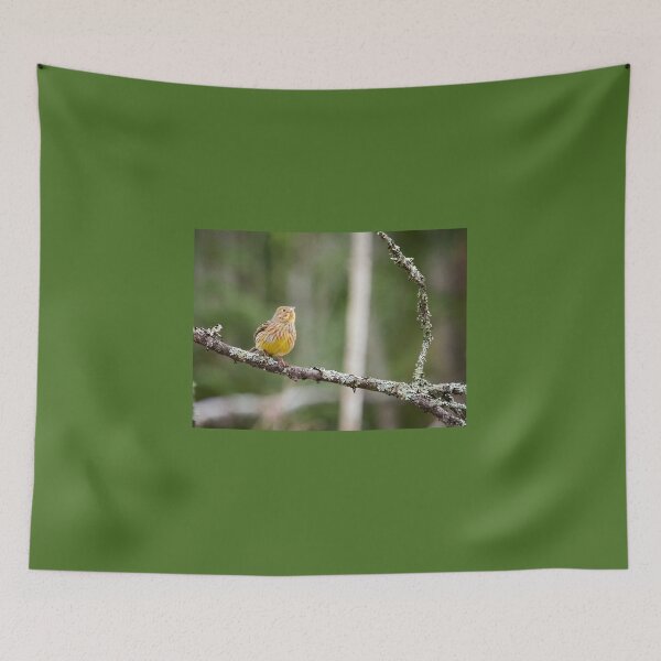 Item preview, Anyone up there. Yellowhammer designed and sold by Jouko Lehto Photography.