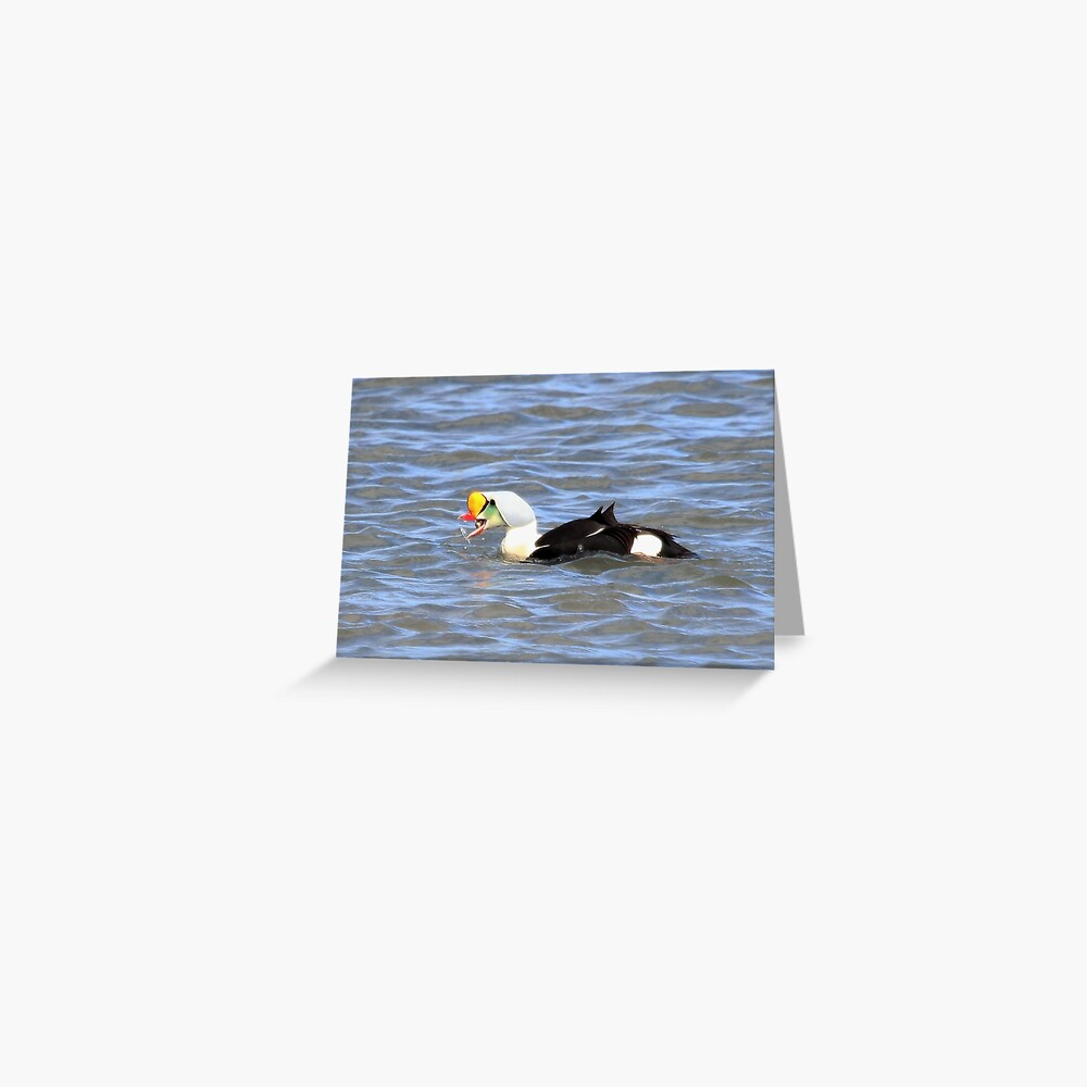 Dinner time Greeting Card