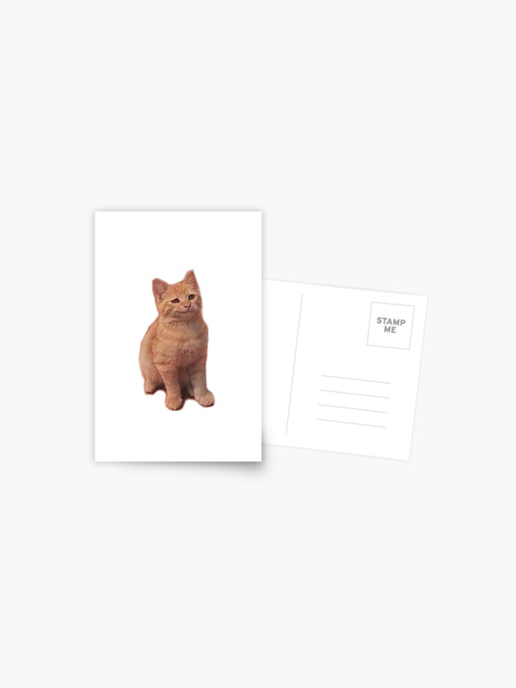 Postal for Sale con la obra «Meme escéptico gato con una cara