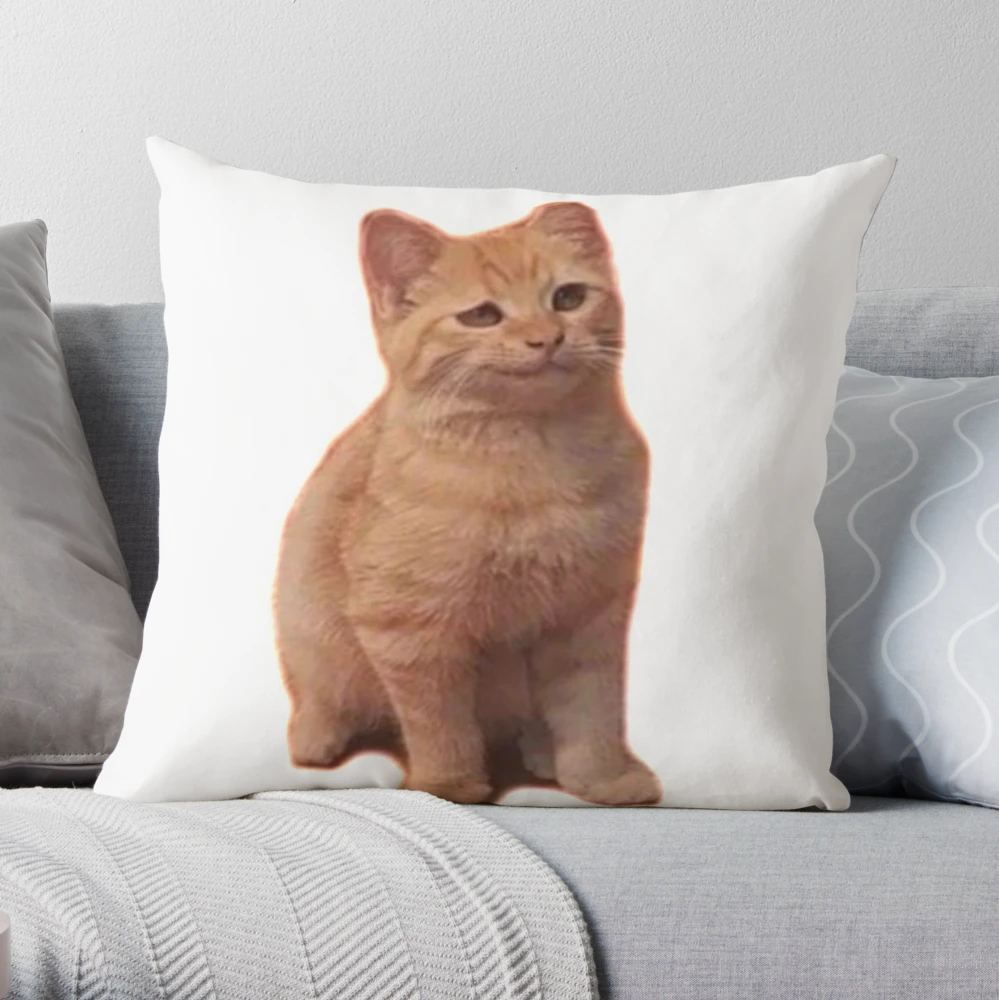 Kitty Critter Pillow