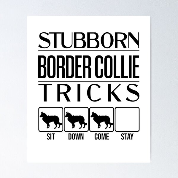 Funny Border Collie Design: Stubborn Border Collie Tricks