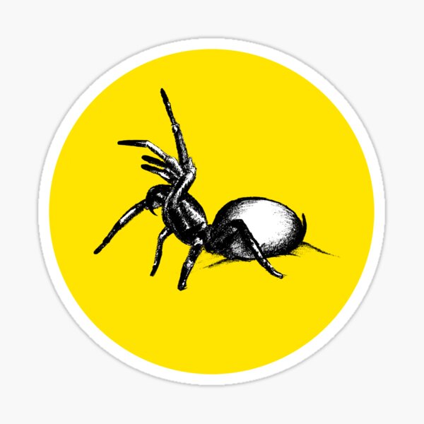 Sydney Funnel Web Spider Sticker