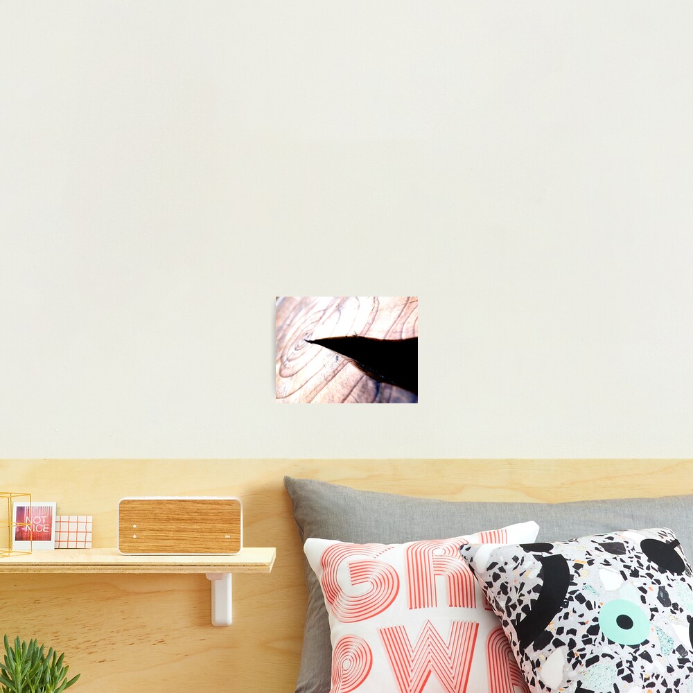 Item preview, Photographic Print designed and sold by Duncanrowe.