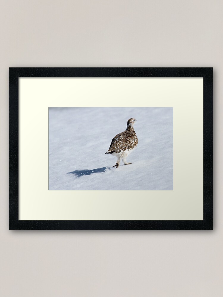 Alternate view of Ptarmigan Framed Art Print
