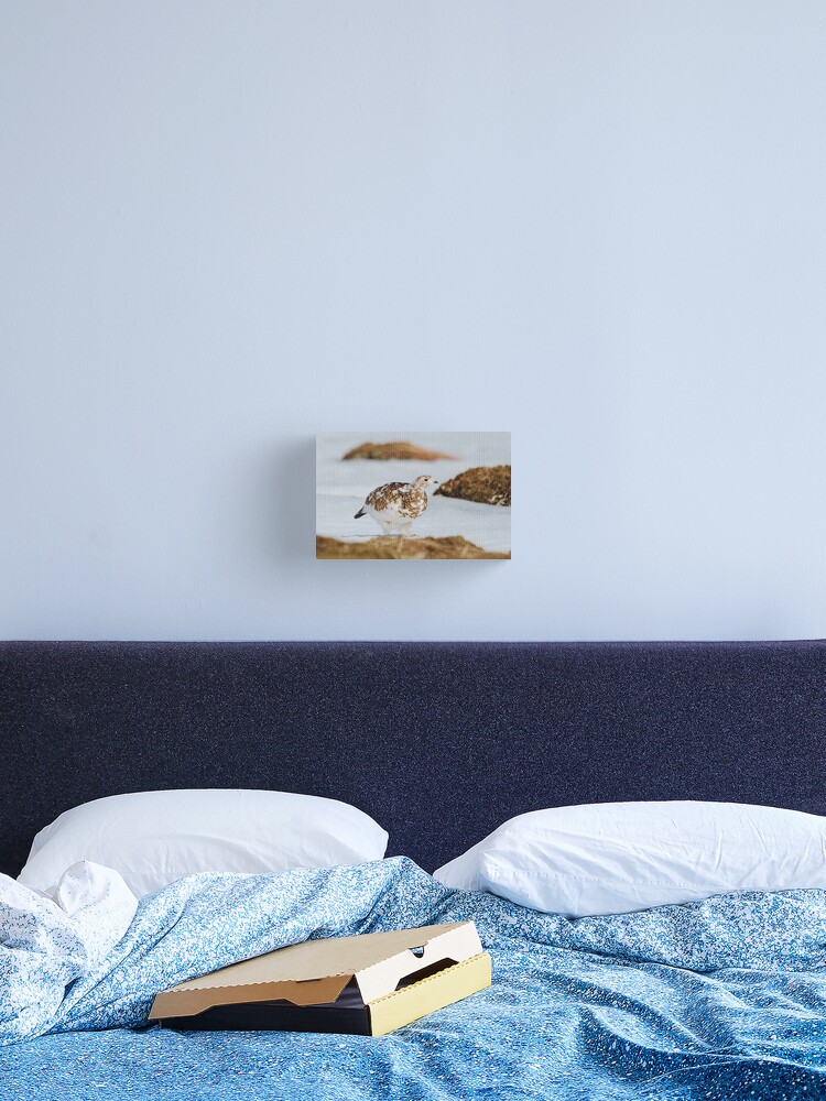 Thumbnail 2 of 3, Canvas Print, Ptarmigan designed and sold by orcadia.