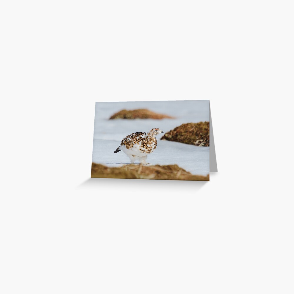 Item preview, Greeting Card designed and sold by orcadia.