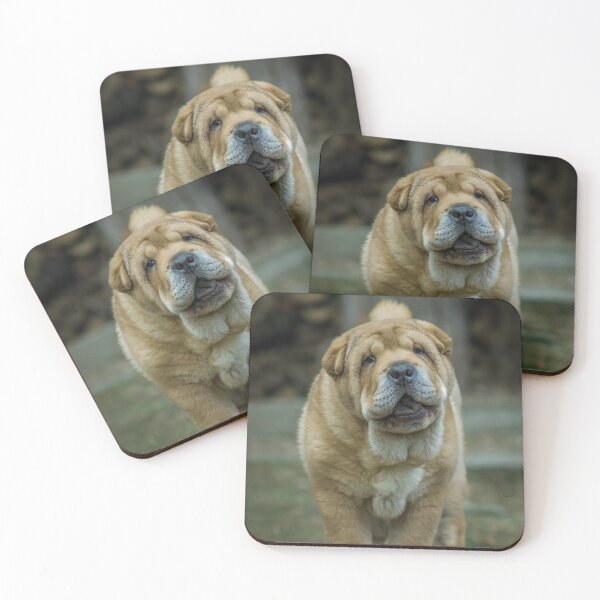 Item preview, Chow puppy portrait designed and sold by Tamas KLAUSZ.